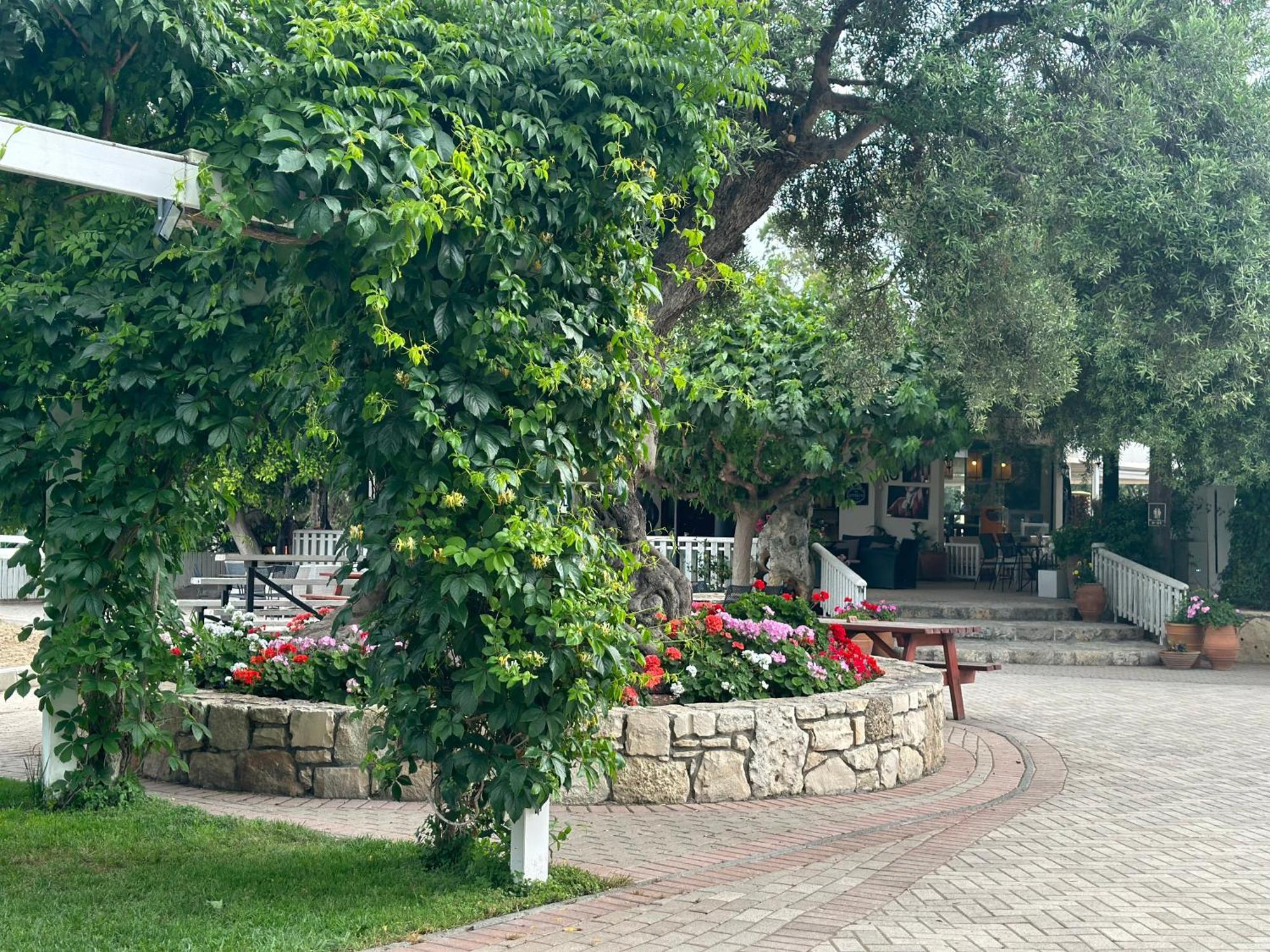 Amnisiades Apartments كارتيروس المظهر الخارجي الصورة